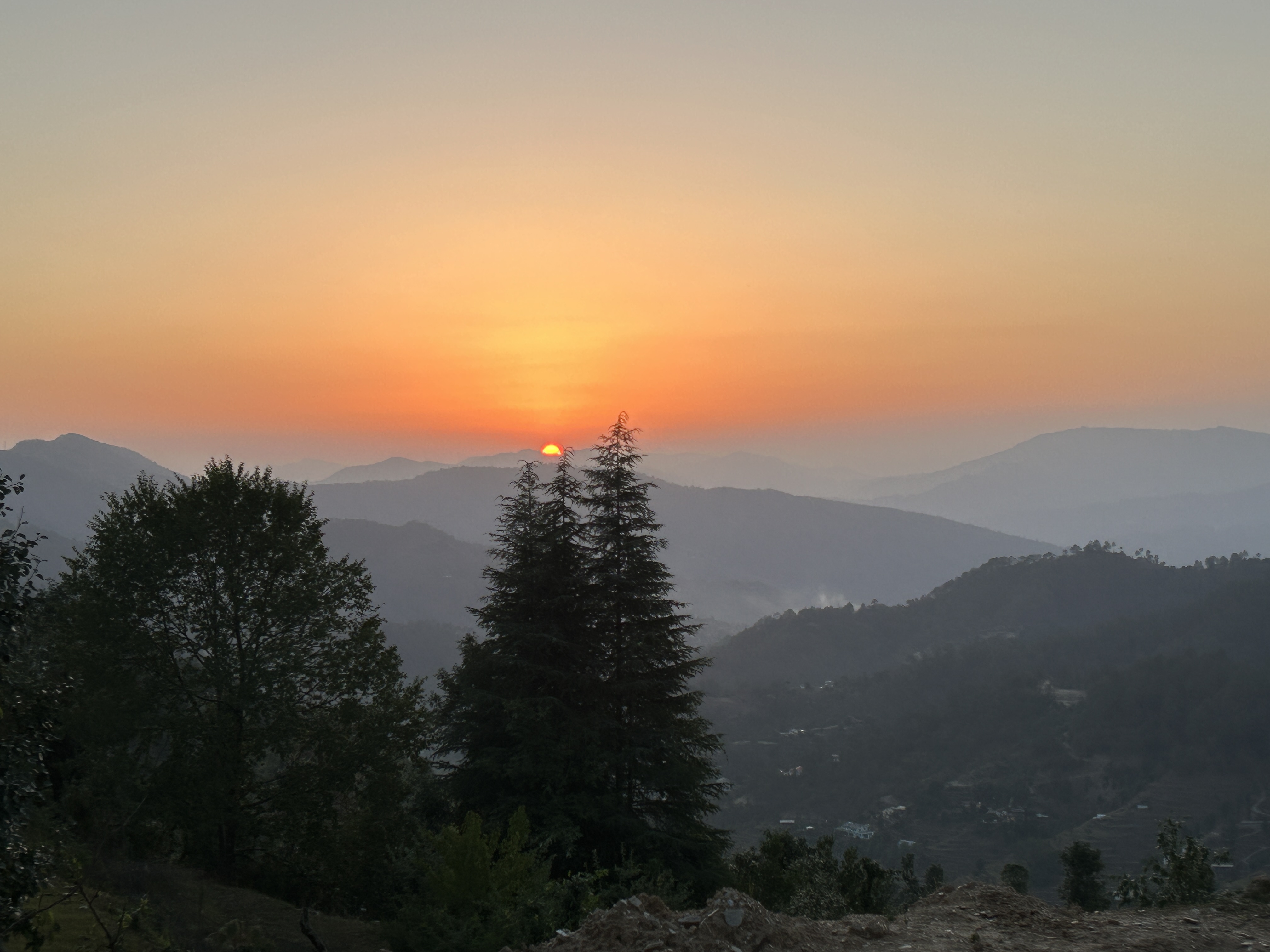 Sunset at Whitegrove